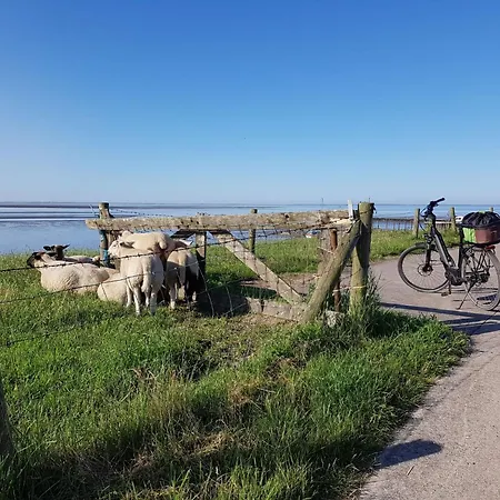 N11 Mit Garten In Eckwarderhoerne By Interhome * Grosswurden