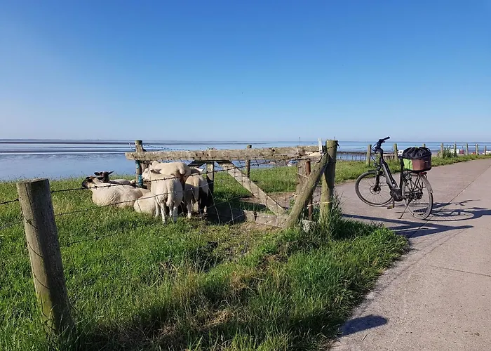 N11 Mit Garten In Eckwarderhoerne By Interhome * Grosswurden